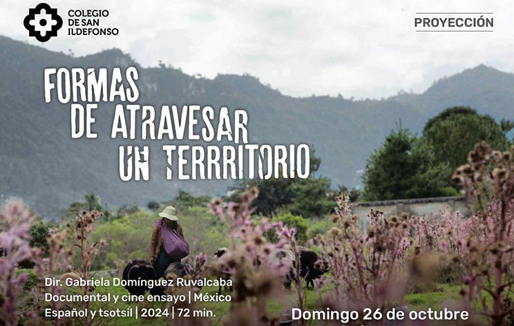 Proyección Proyección