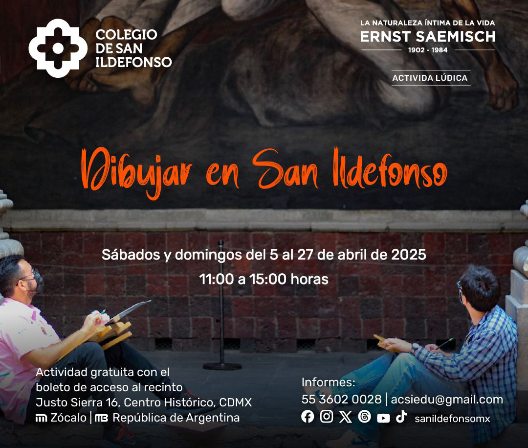 esaemisch-actividad-dibujar-en-san-ildefonso